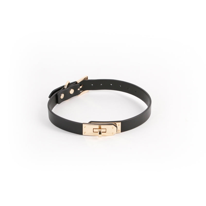 Hustler Taboo - Sadie Collar